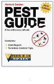 Termite or Ant Identification. Termite and Ant Treatment